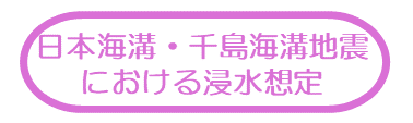 日本海溝・千島海溝地震における浸水想定