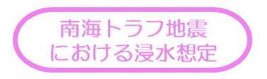 南海トラフ地震における浸水想定